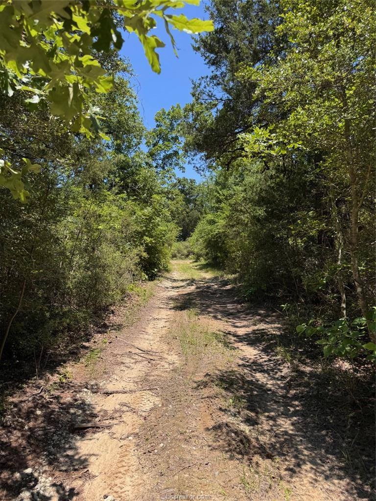 3454 Co Rd 426, Marquez, TX 77865