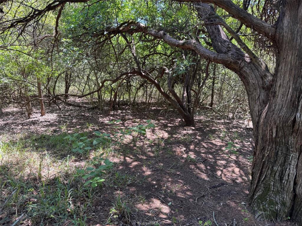 3454 Co Rd 426, Marquez, TX 77865