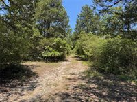 3454 Co Rd 426, Marquez, TX 77865