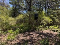 3454 Co Rd 426, Marquez, TX 77865