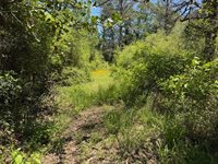 3454 Co Rd 426, Marquez, TX 77865