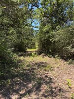 3454 Co Rd 426, Marquez, TX 77865