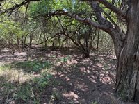 3454 Co Rd 426, Marquez, TX 77865