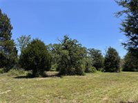 3454 Co Rd 426, Marquez, TX 77865