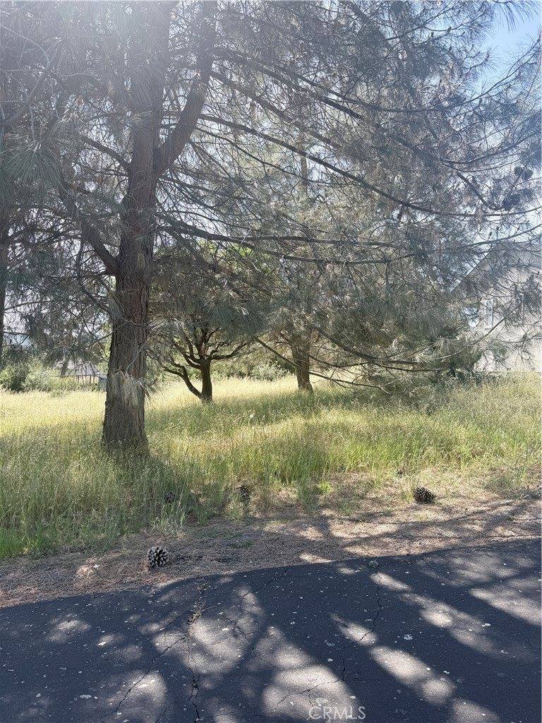 19303 Ravenhill, Hidden Valley Lake, CA 95467