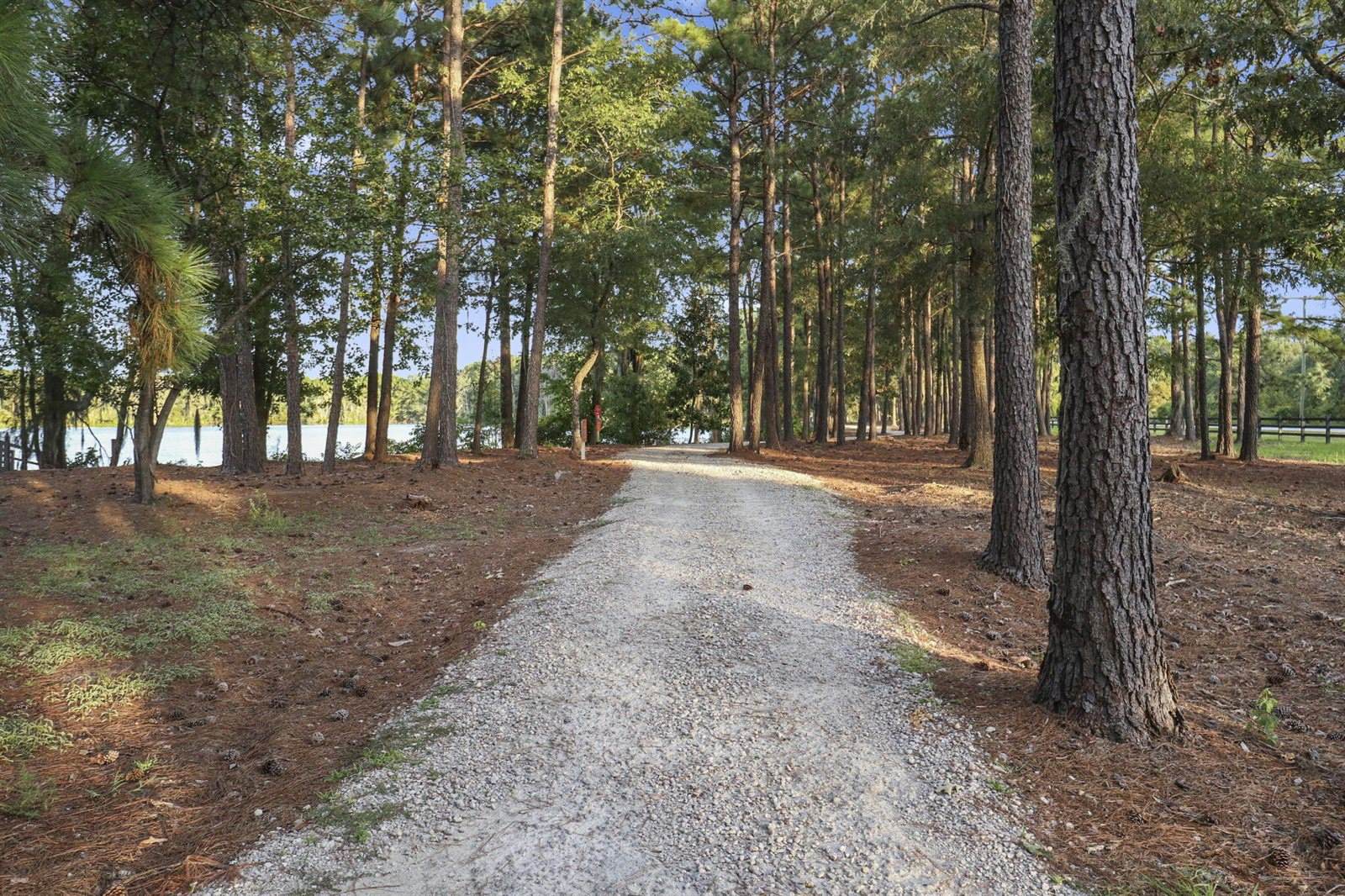 126 Paddle Boat Way, Summerville, SC 29485