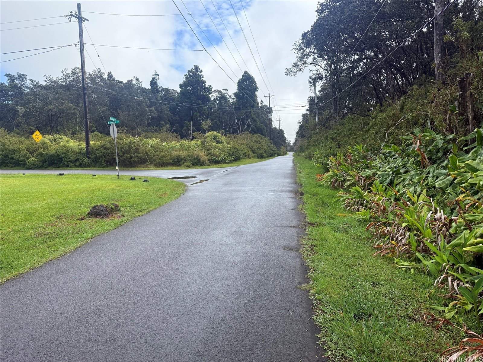 19-3140 Mamaki Lane, Hilo, HI 96720
