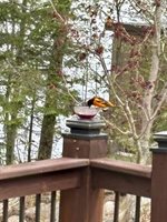 3936 Sunnyside Park Road, Floodwood, MN 55736