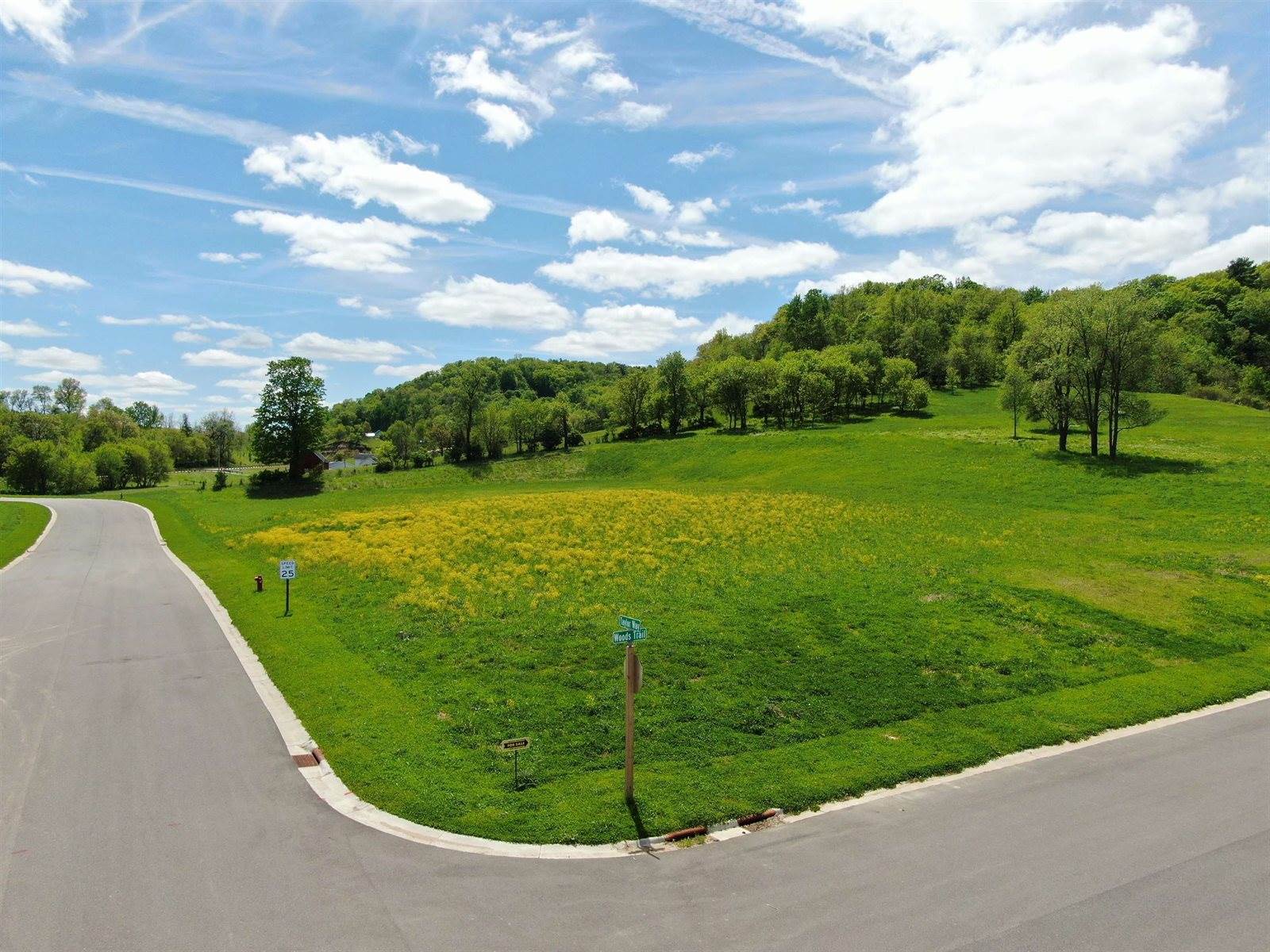 Lot 17 Woods, Ontario, WI 54651