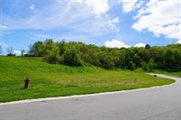 Lot 21 Woods, Ontario, WI 54651