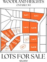 Lot 26 Woods, Ontario, WI 54651