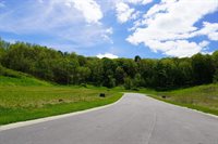 Lot 26 Woods, Ontario, WI 54651