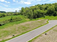 Lot 22 Woods, Ontario, WI 54651
