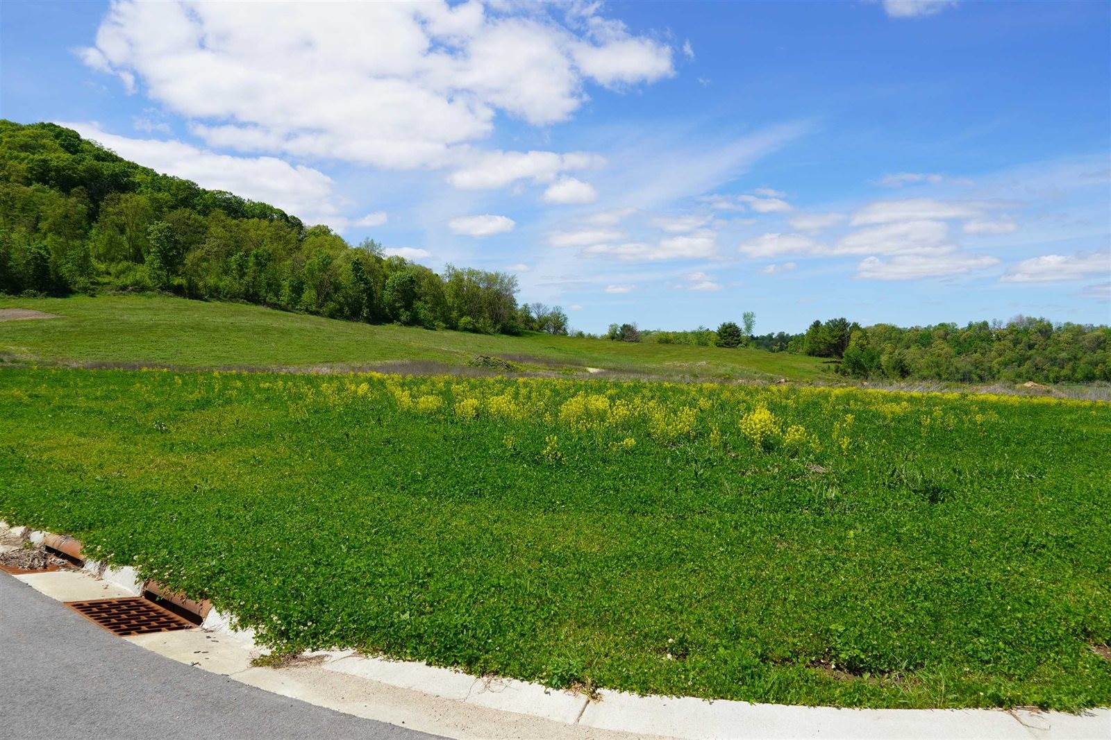 Lot 2 Pearson, Ontario, WI 54651
