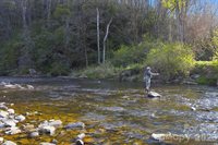 8186 NC 183 Highway, Linville Falls, NC 28657