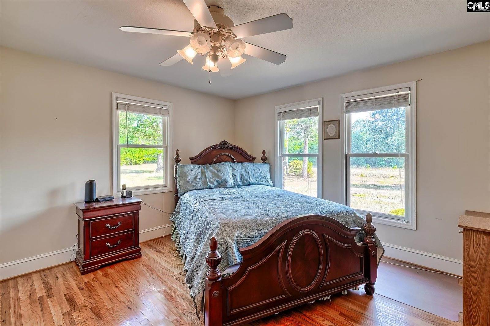 133 Pleasant Home, Blackville, SC 29817