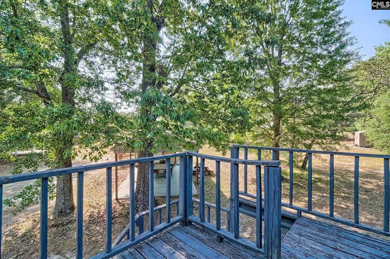 133 Pleasant Home, Blackville, SC 29817