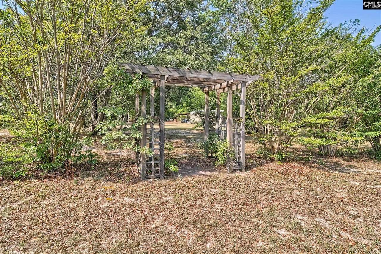 133 Pleasant Home, Blackville, SC 29817