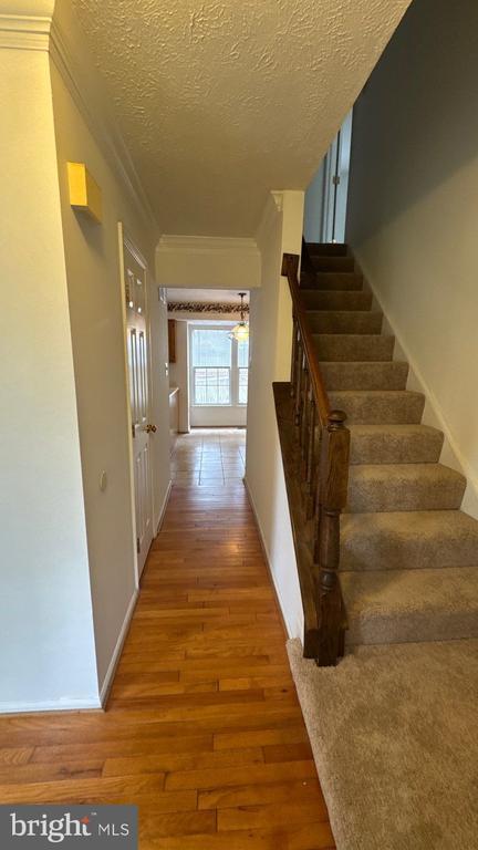 8698 Open Meadow Way, Columbia, MD 21045