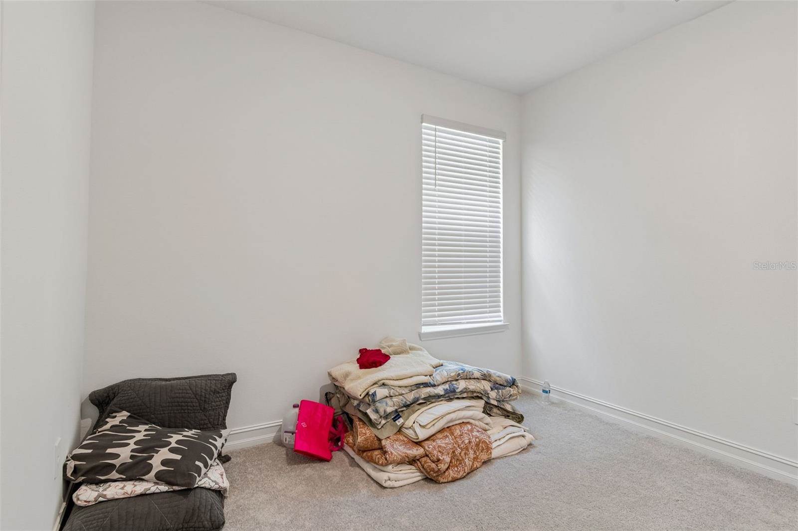 18542 Serene Lake Loop, Lutz, FL 33548