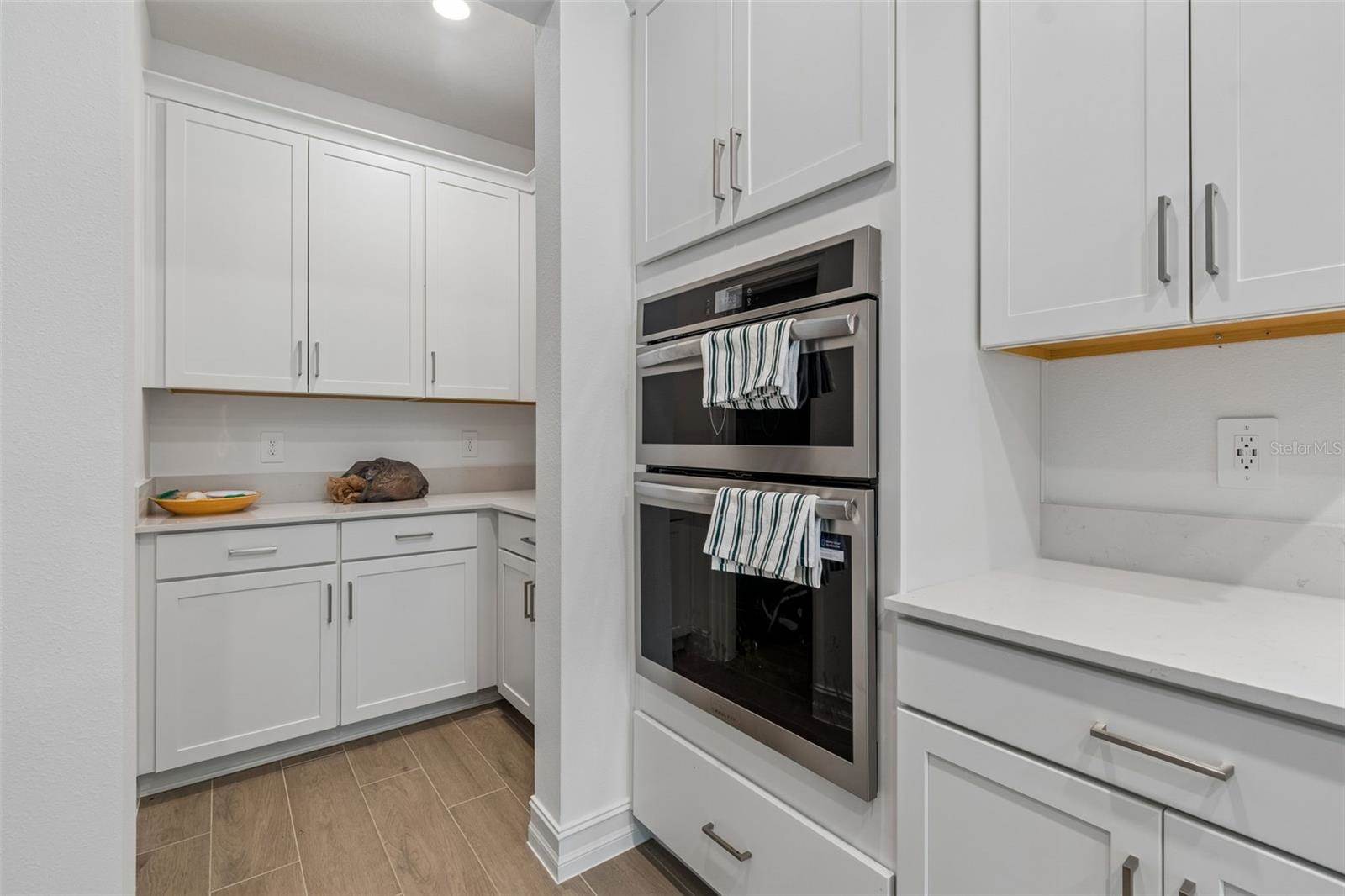 18542 Serene Lake Loop, Lutz, FL 33548