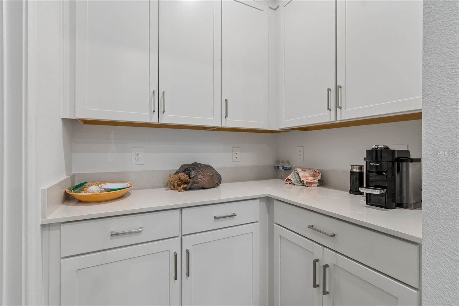 18542 Serene Lake Loop, Lutz, FL 33548