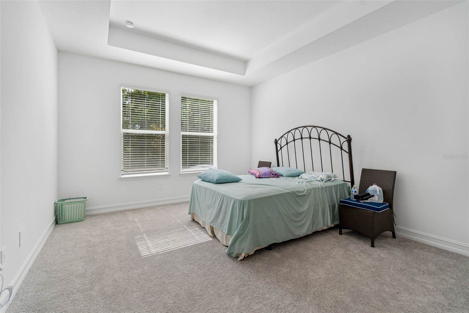18542 Serene Lake Loop, Lutz, FL 33548