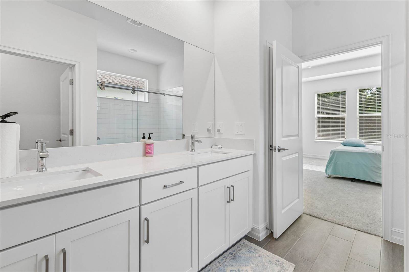 18542 Serene Lake Loop, Lutz, FL 33548