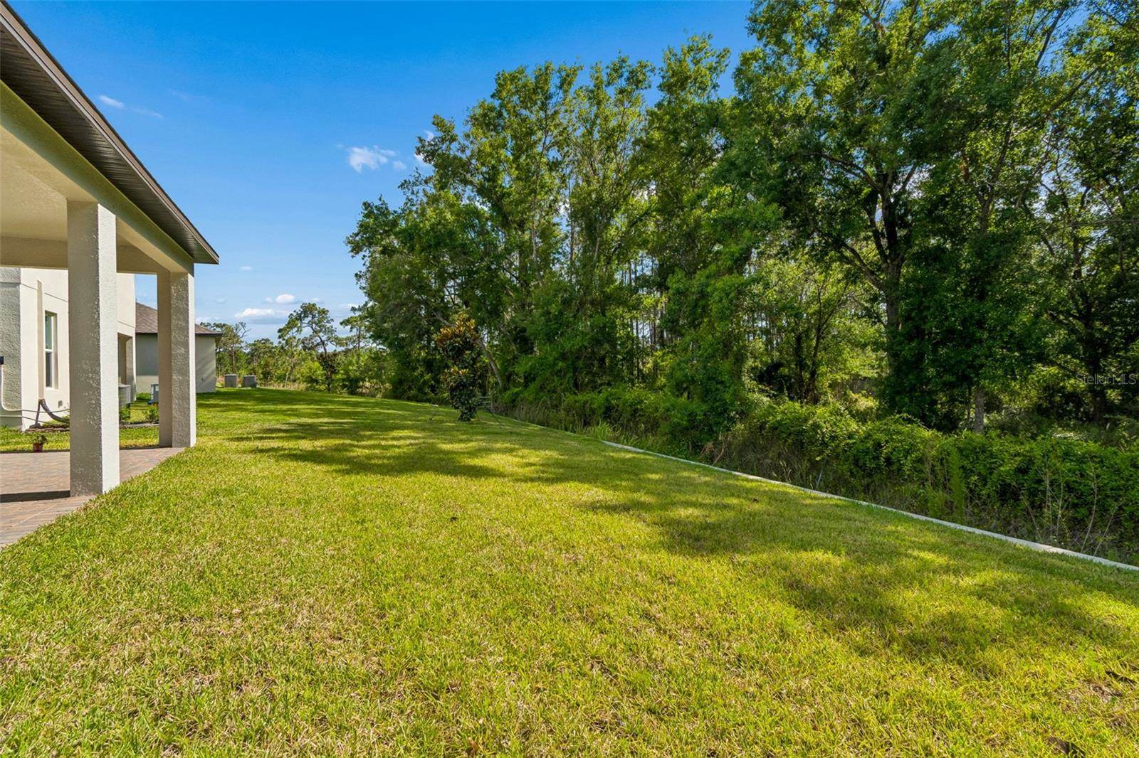 18542 Serene Lake Loop, Lutz, FL 33548