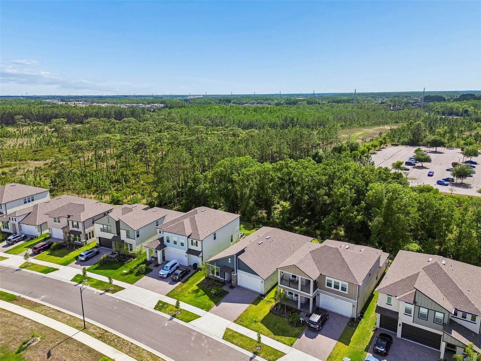 18542 Serene Lake Loop, Lutz, FL 33548