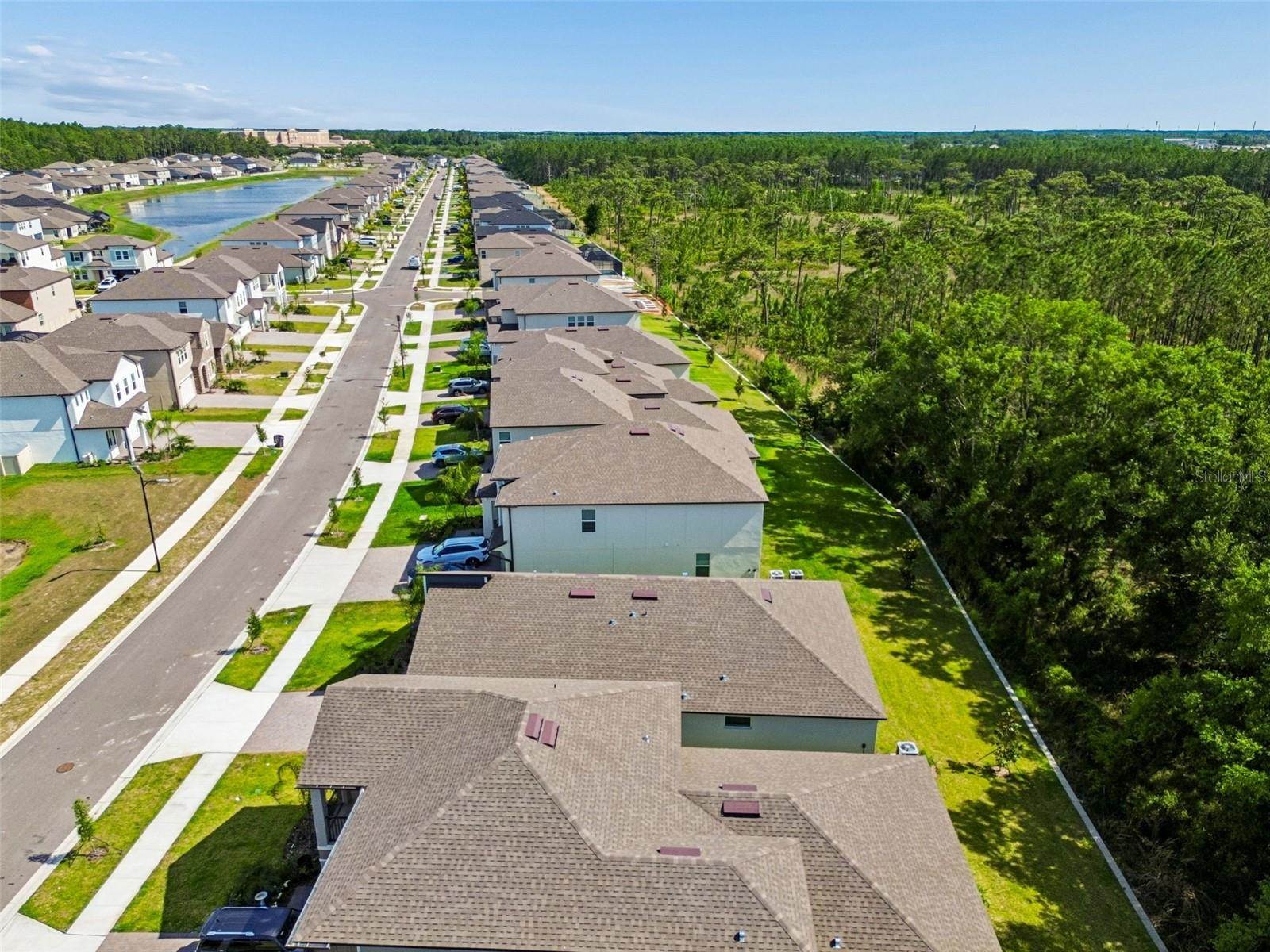 18542 Serene Lake Loop, Lutz, FL 33548