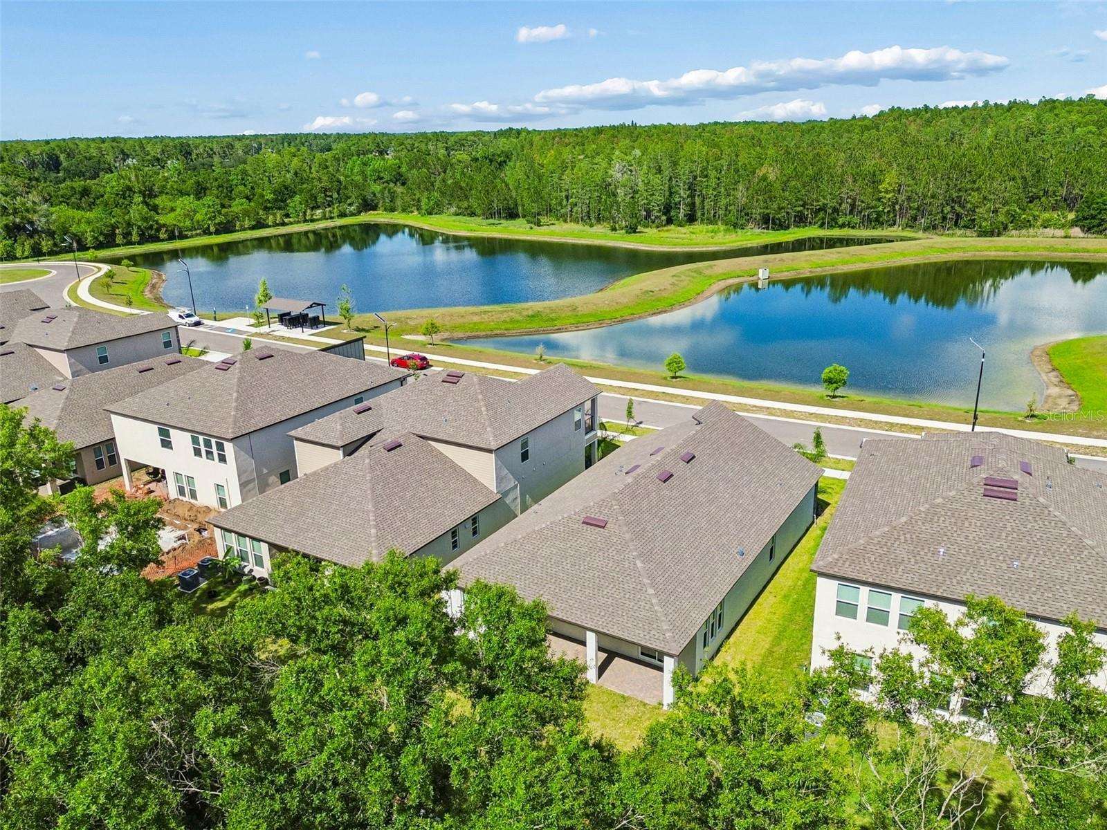 18542 Serene Lake Loop, Lutz, FL 33548