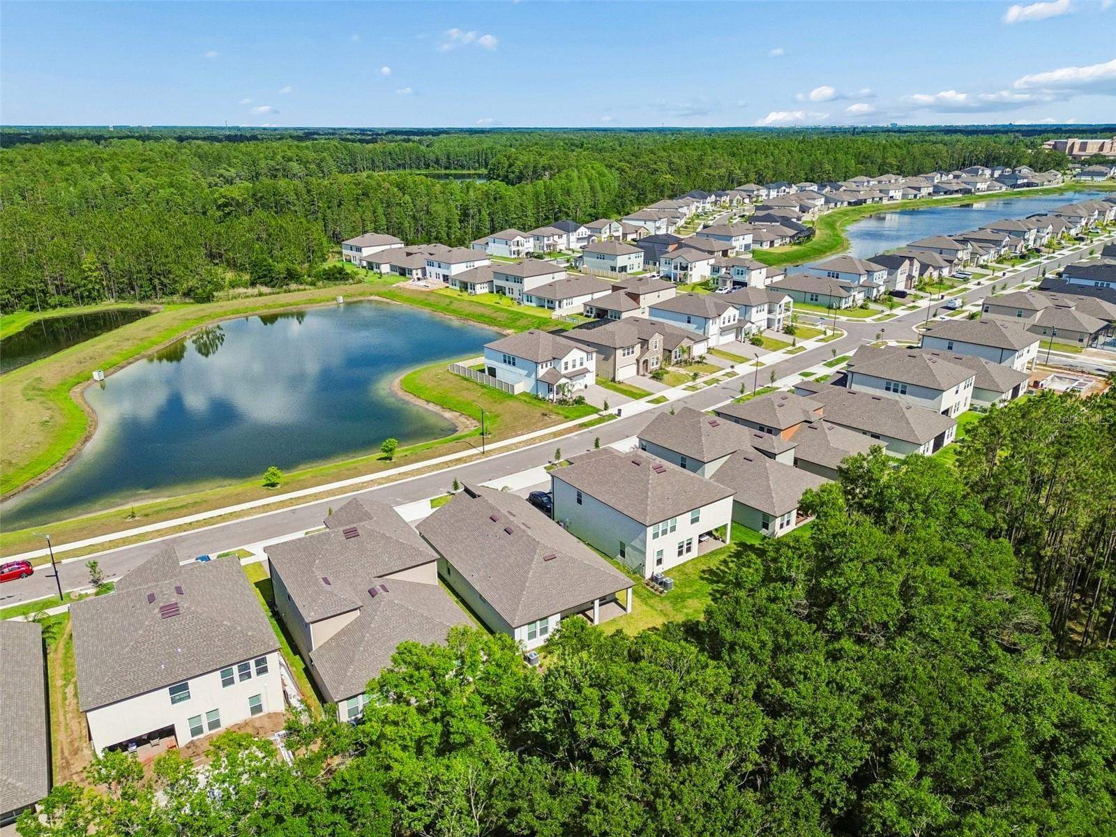 18542 Serene Lake Loop, Lutz, FL 33548