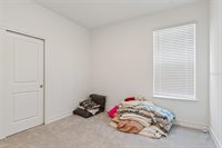 18542 Serene Lake Loop, Lutz, FL 33548