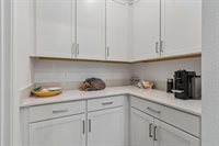 18542 Serene Lake Loop, Lutz, FL 33548