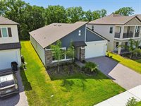 18542 Serene Lake Loop, Lutz, FL 33548