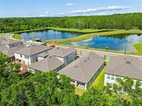 18542 Serene Lake Loop, Lutz, FL 33548