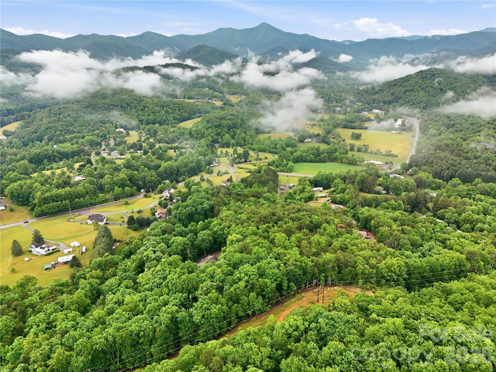 99999 Pisgah Highway, Candler, NC 28715
