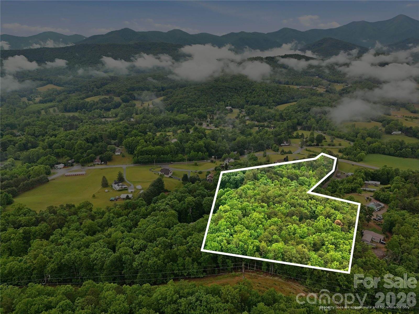99999 Pisgah Highway, Candler, NC 28715