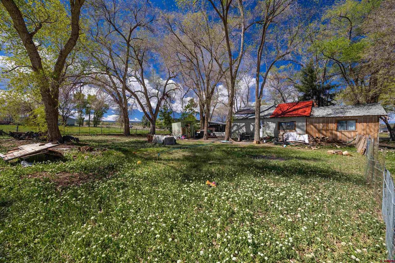 17174 6450 Road, Montrose, CO 81403