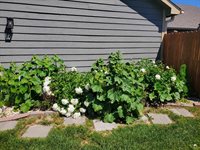 8892 Regina Lane, Manhattan, KS 66502