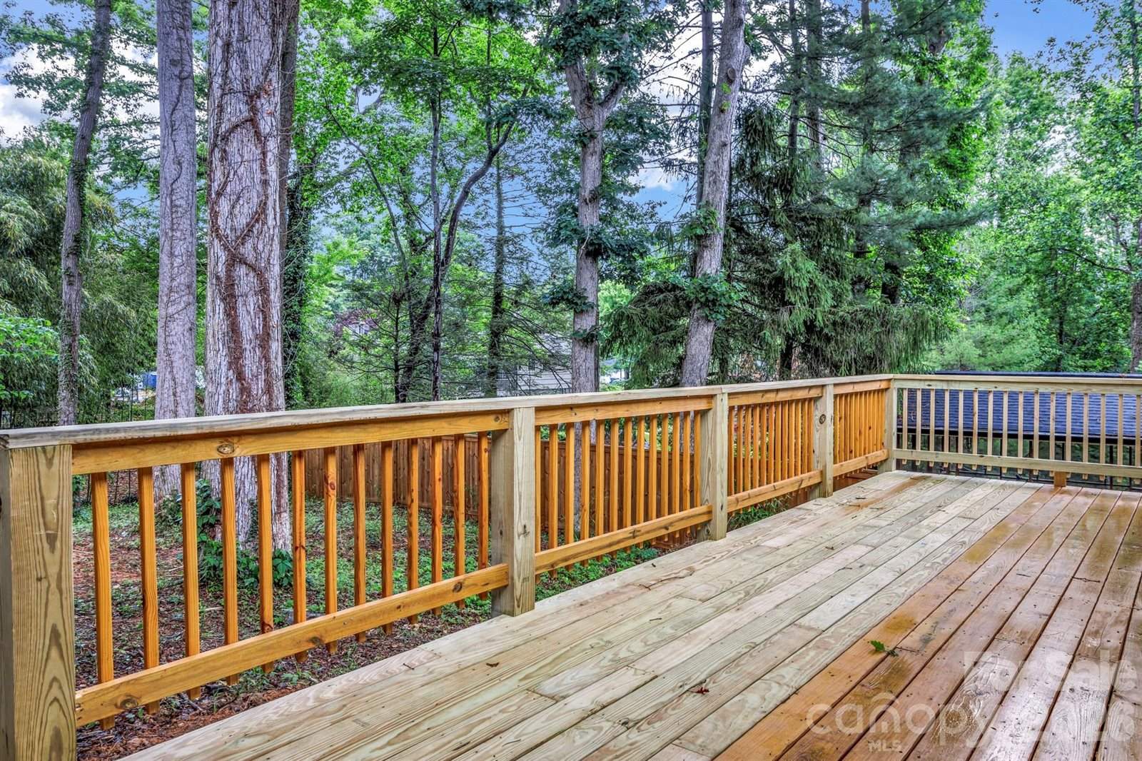 4 Barnes Road, Asheville, NC 28803