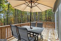 598 Crab Apple Road, Mt Jackson, VA 22842