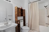 598 Crab Apple Road, Mt Jackson, VA 22842