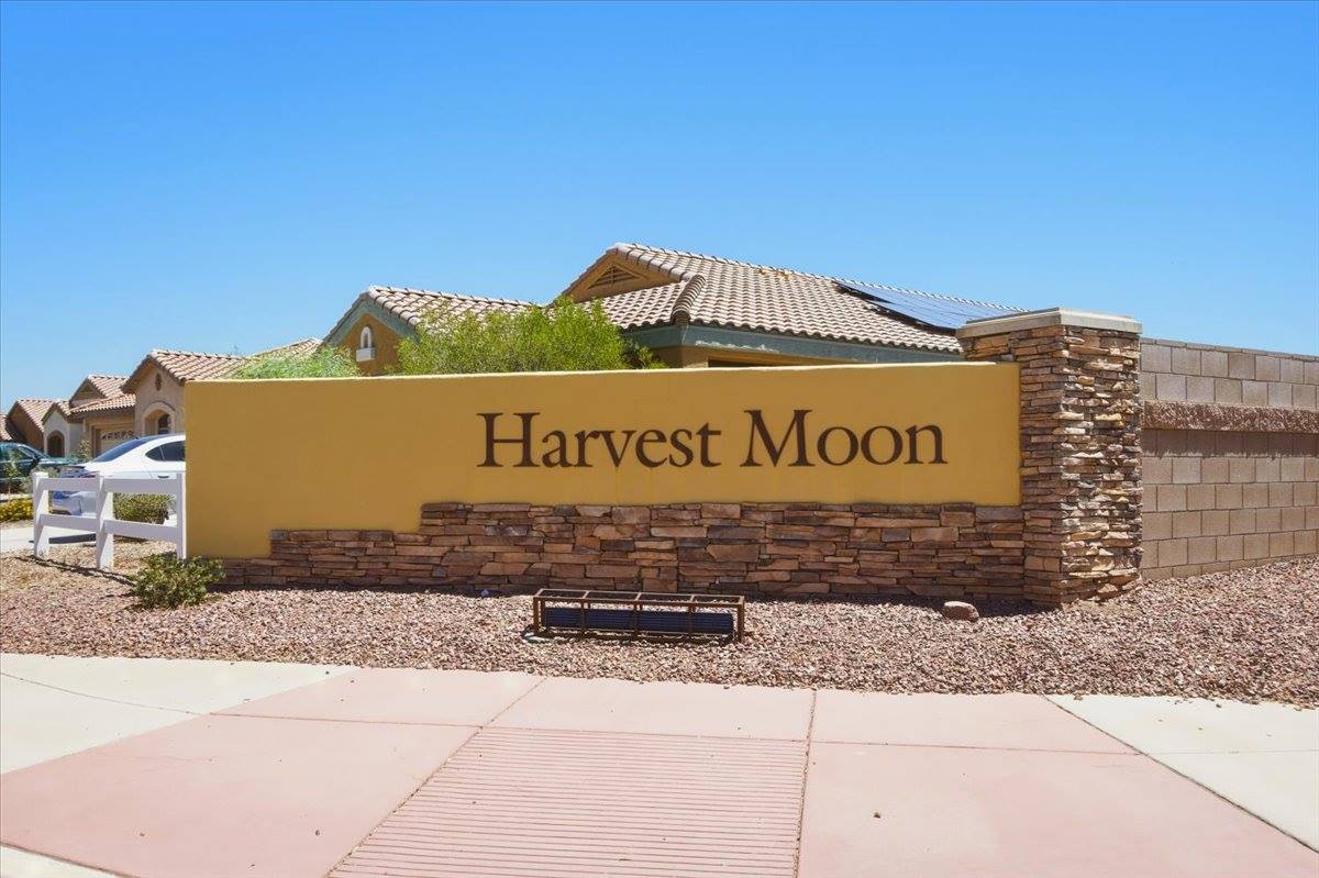11371 W Burning Sage St, Marana, AZ 85653
