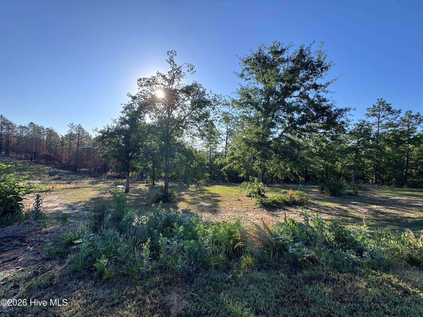4441 Etterle Road, Blythe, GA 30805