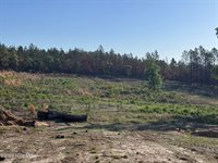 4441 Etterle Road, Blythe, GA 30805