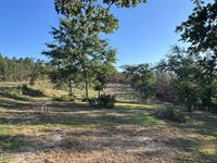 4441 Etterle Road, Blythe, GA 30805