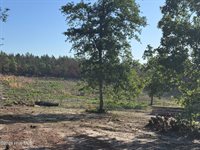 4441 Etterle Road, Blythe, GA 30805