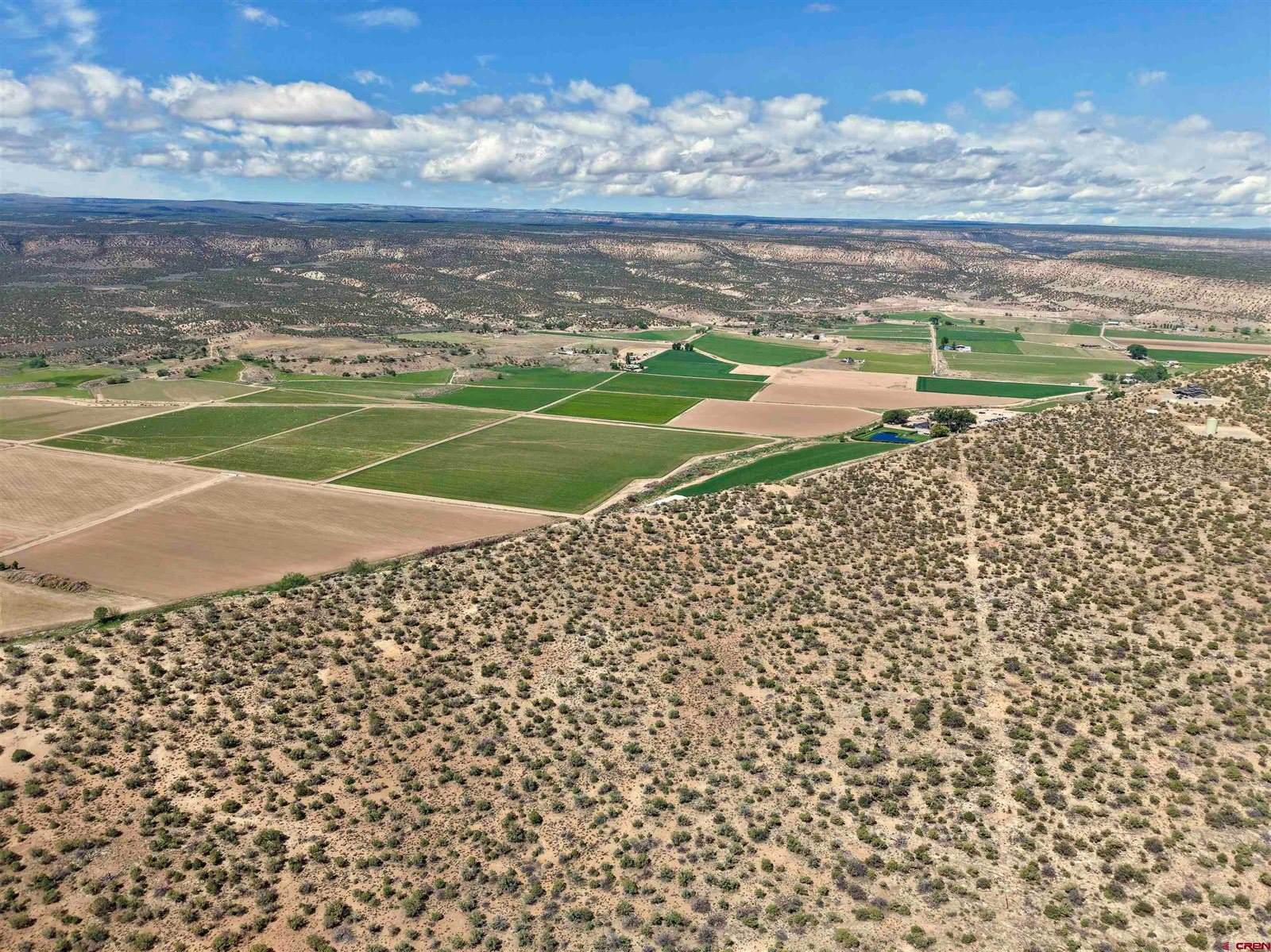 16252 Shavano Valley Road, Montrose, CO 81403
